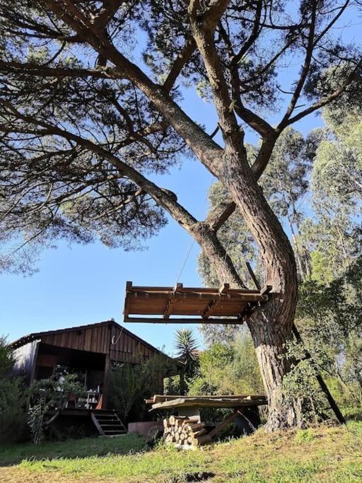 Pine Lodge - Direct Train To Porto Valongo  Exterior photo