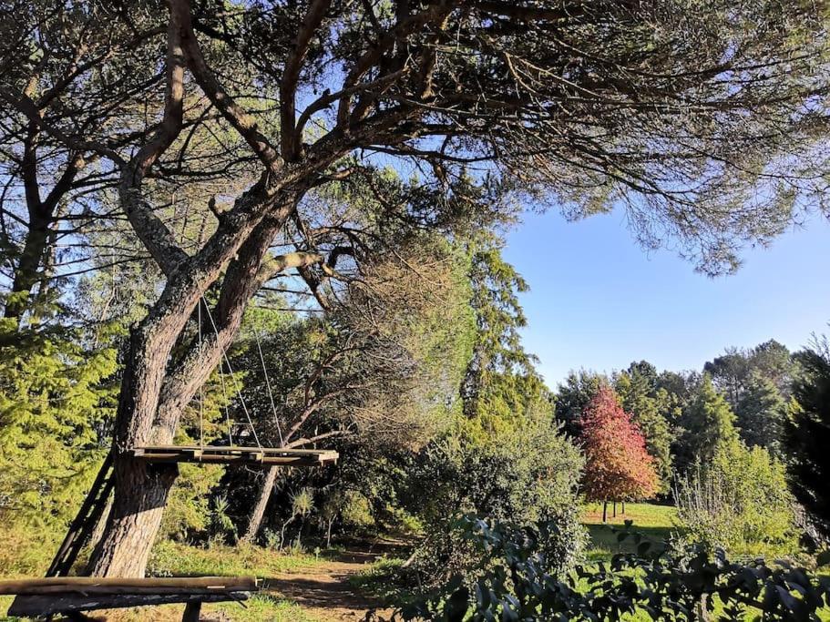 Pine Lodge - Direct Train To Porto Valongo  Exterior photo